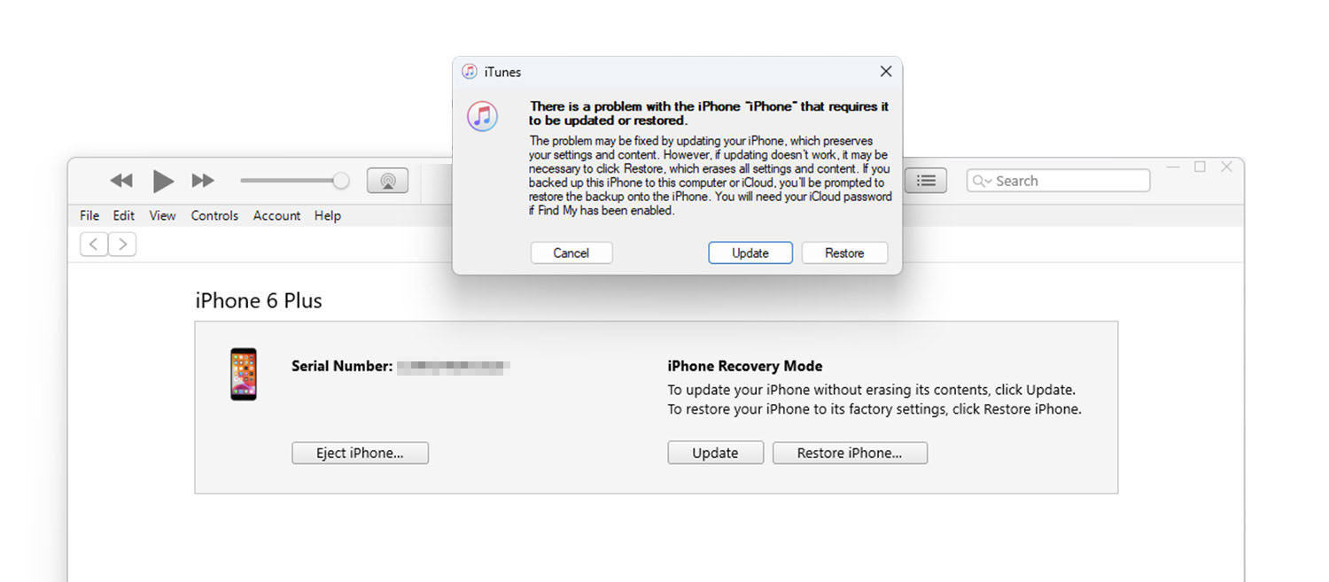 restore with iTunes